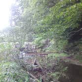Review photo of French Creek State Park Campground by Michael B., September 13, 2020