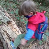 Review photo of French Creek State Park Campground by Michael B., September 13, 2020