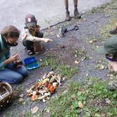 Review photo of French Creek State Park Campground by Michael B., September 13, 2020