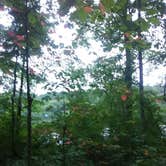 Review photo of French Creek State Park Campground by Michael B., September 13, 2020