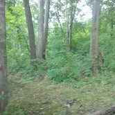 Review photo of French Creek State Park Campground by Michael B., September 13, 2020
