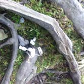Review photo of French Creek State Park Campground by Michael B., September 13, 2020