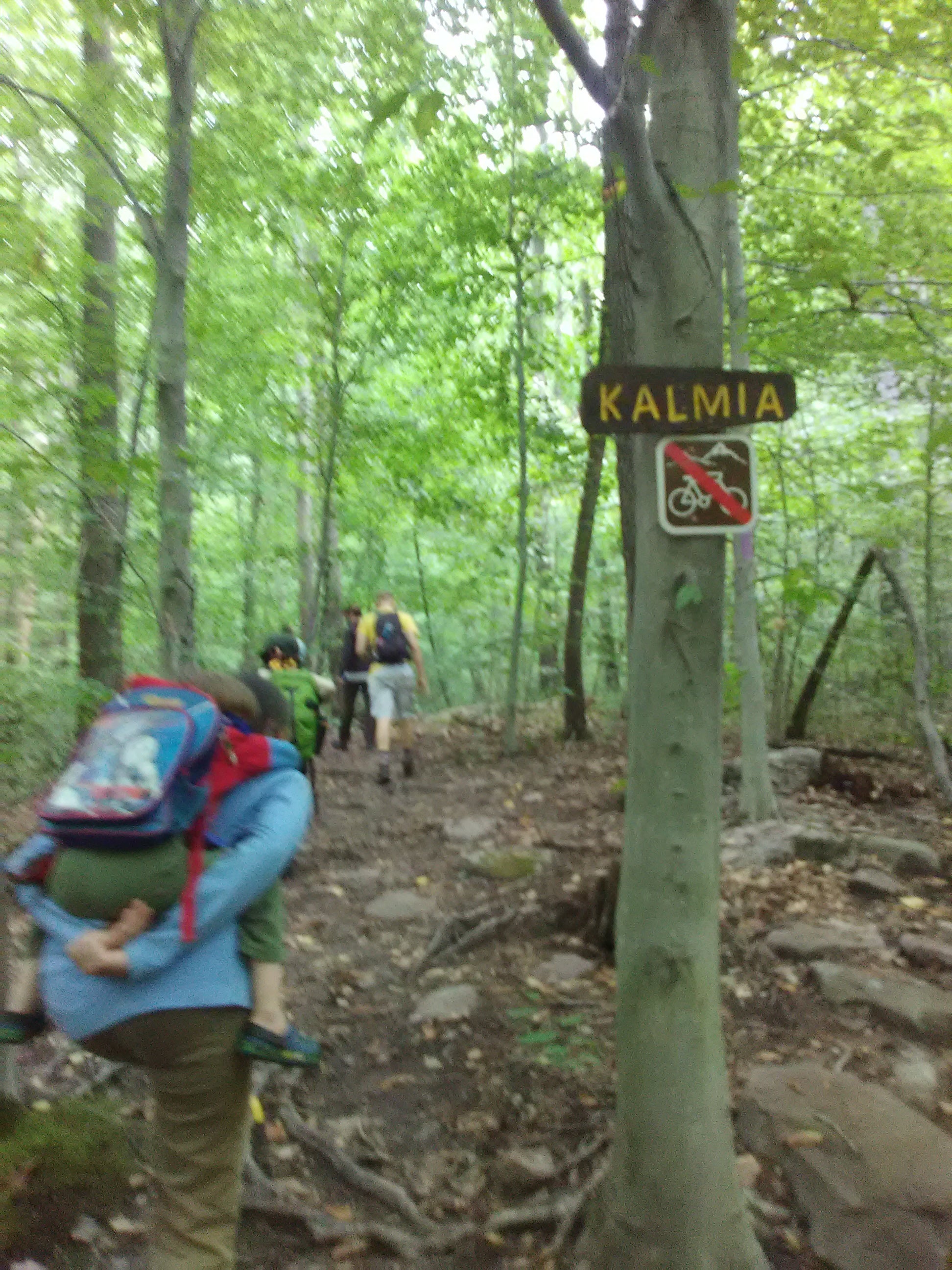 The Kalmia Trail