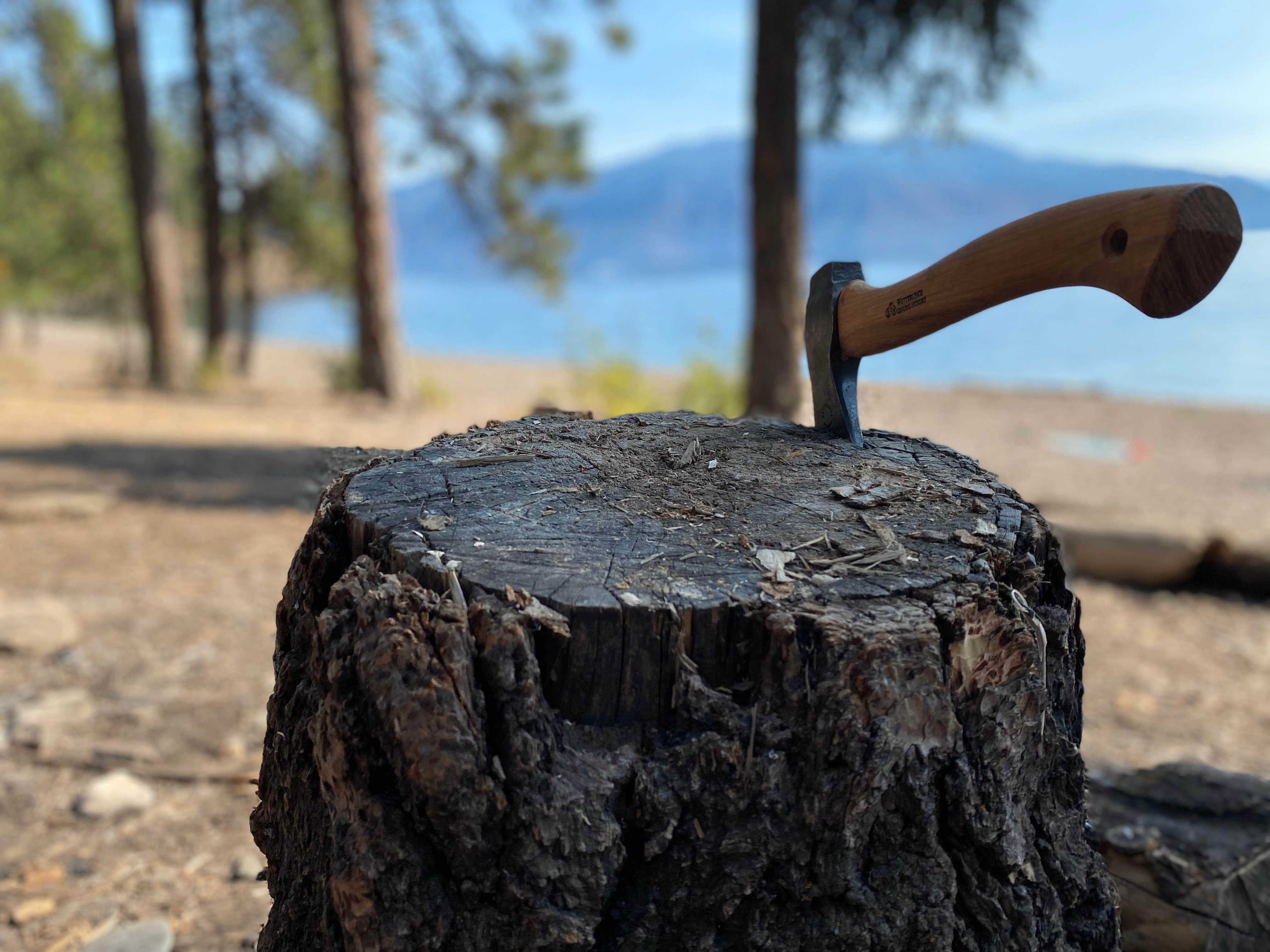 Camper-submitted photo at Green Bay Campground - TEMPORARILY CLOSED 2024 near Cocolalla, ID