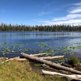 Review photo of Washington Lake Campground by Shad G., September 13, 2020