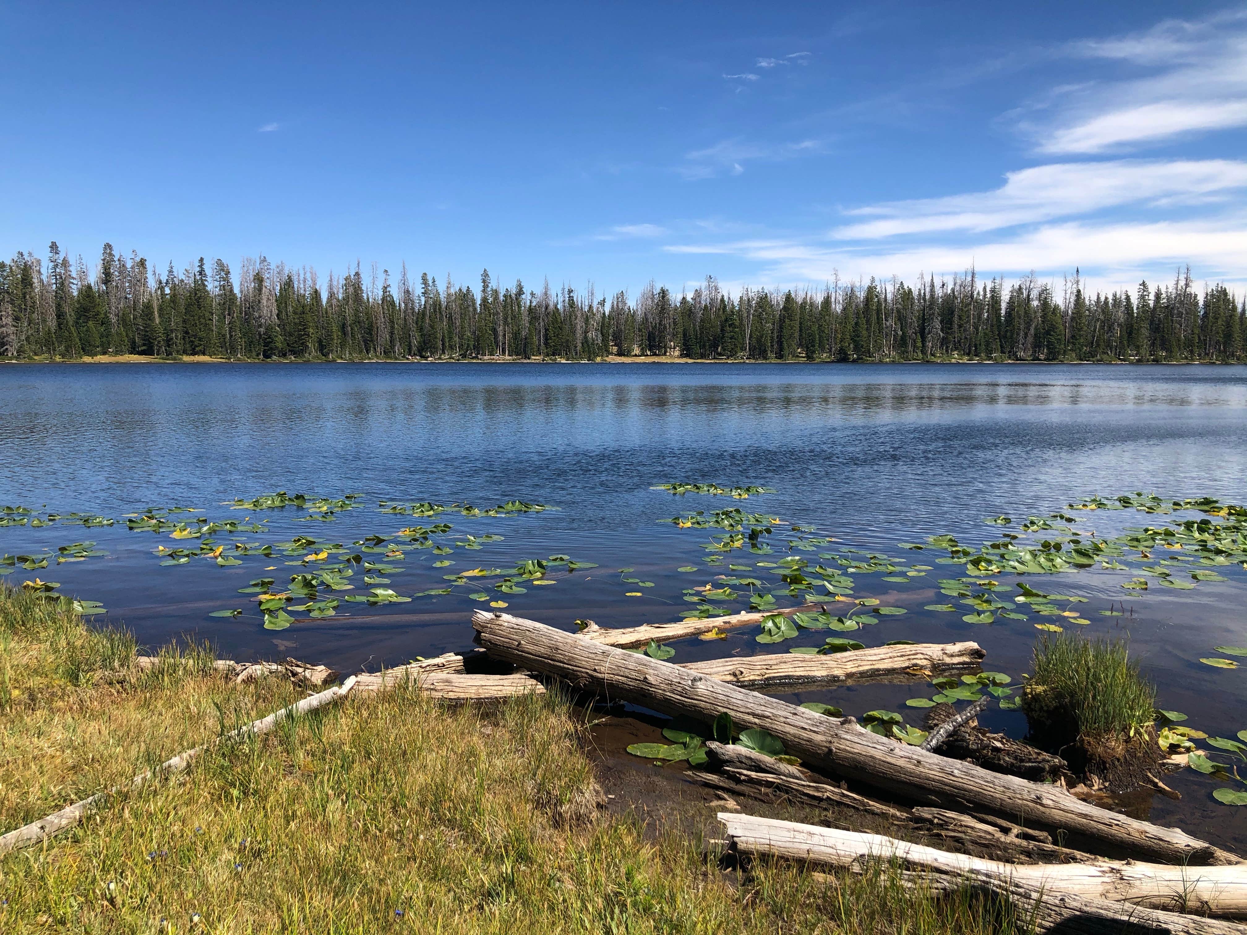 Camper submitted image from Washington Lake Campground - 1