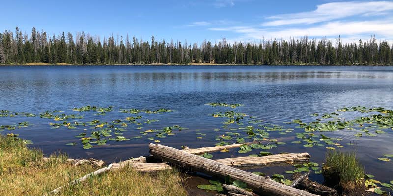 Camper submitted image from Washington Lake Campground