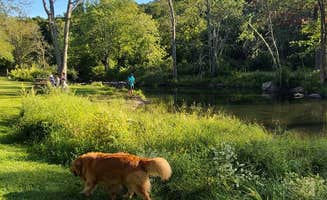 Anil S.'s photo of camping with pets at Ward Pound Ridge Reservation near New York City, NY