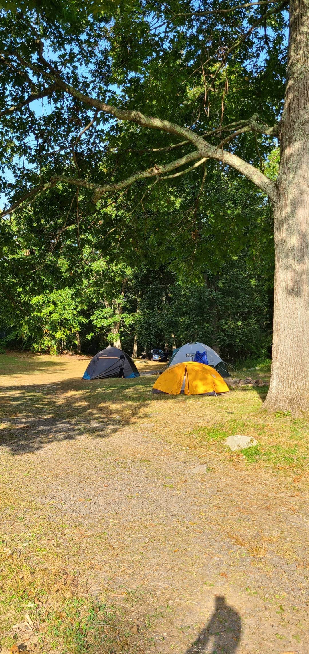 Anil S.'s photo of tent camping at Ward Pound Ridge Reservation near Cornwall-on-Hudson, NY