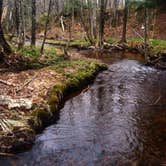 Review photo of Union Bay Campground — Porcupine Mountains Wilderness State Park by Racheal M., May 17, 2018