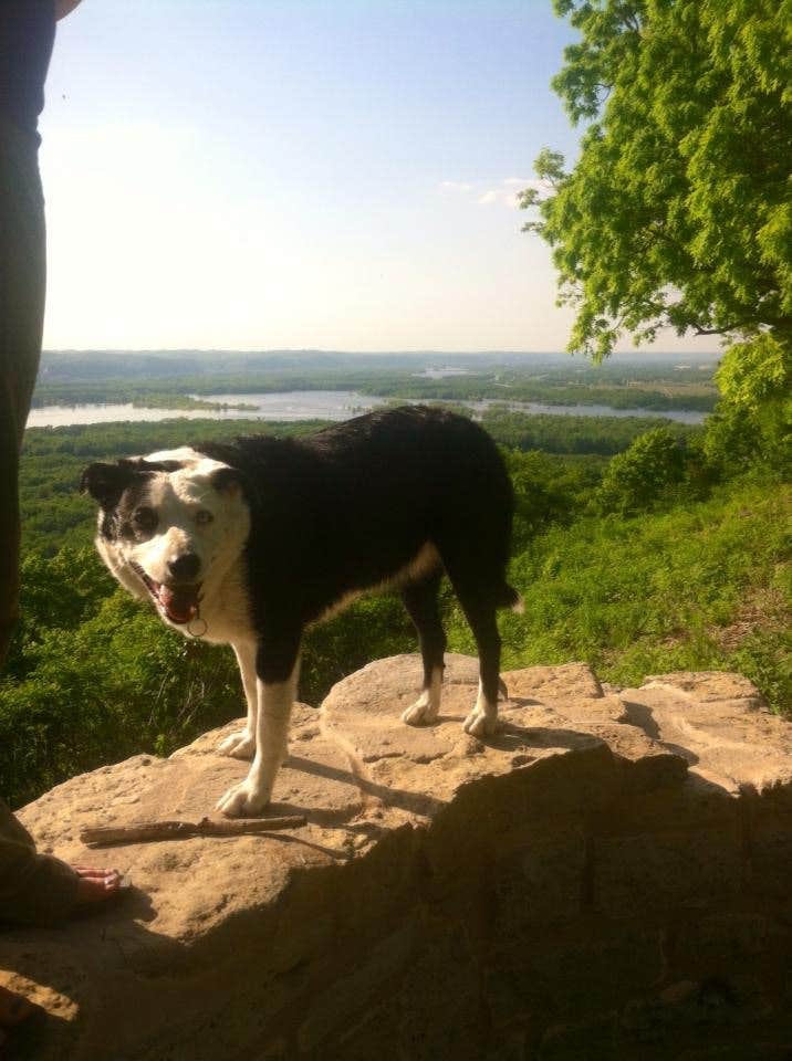 Racheal M.'s photo of camping with pets at Wyalusing State Park Campground near Elkader, IA