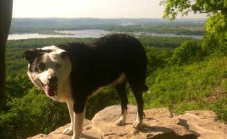 Racheal M.'s photo of camping with pets at Wyalusing State Park Campground near Prairie du Chien, WI