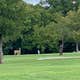 Ham Creek Park