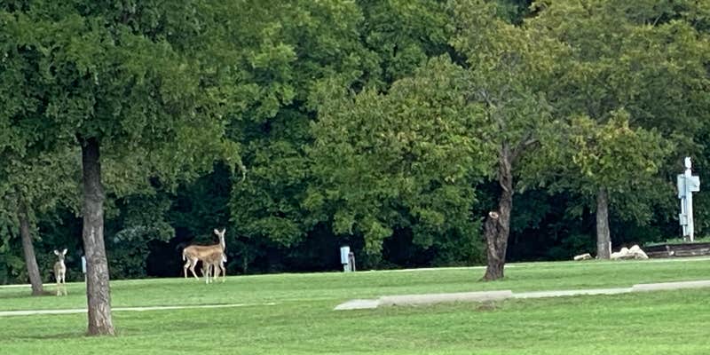 Camper submitted image from Ham Creek Park