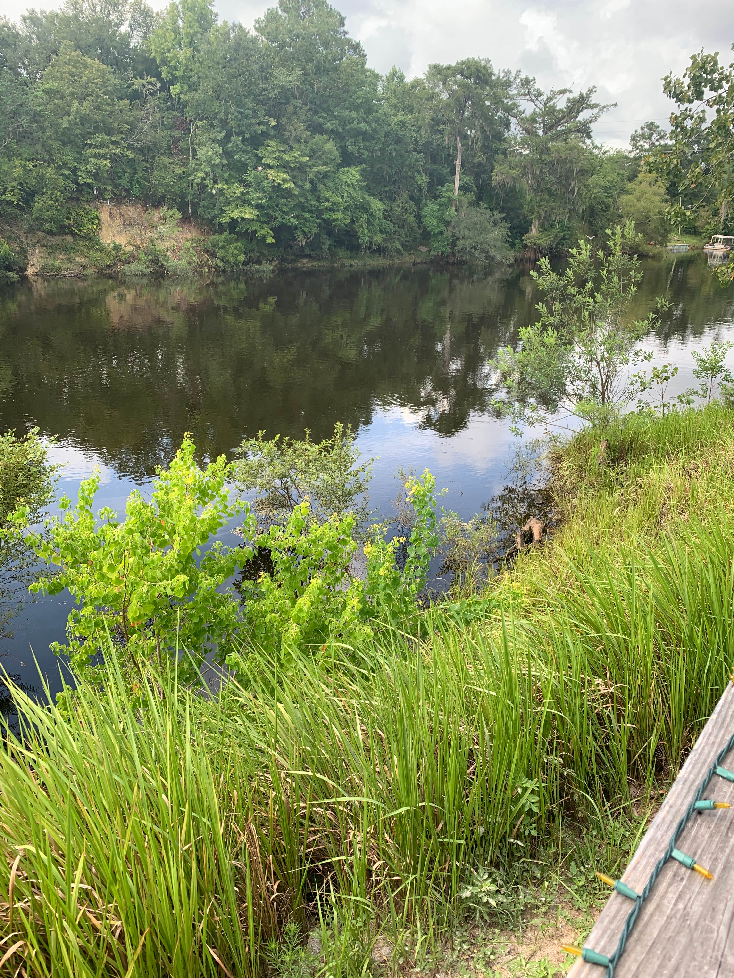 Camper-submitted photo at Ed and Bernices Fish Camp and RV Park near Cairo, GA