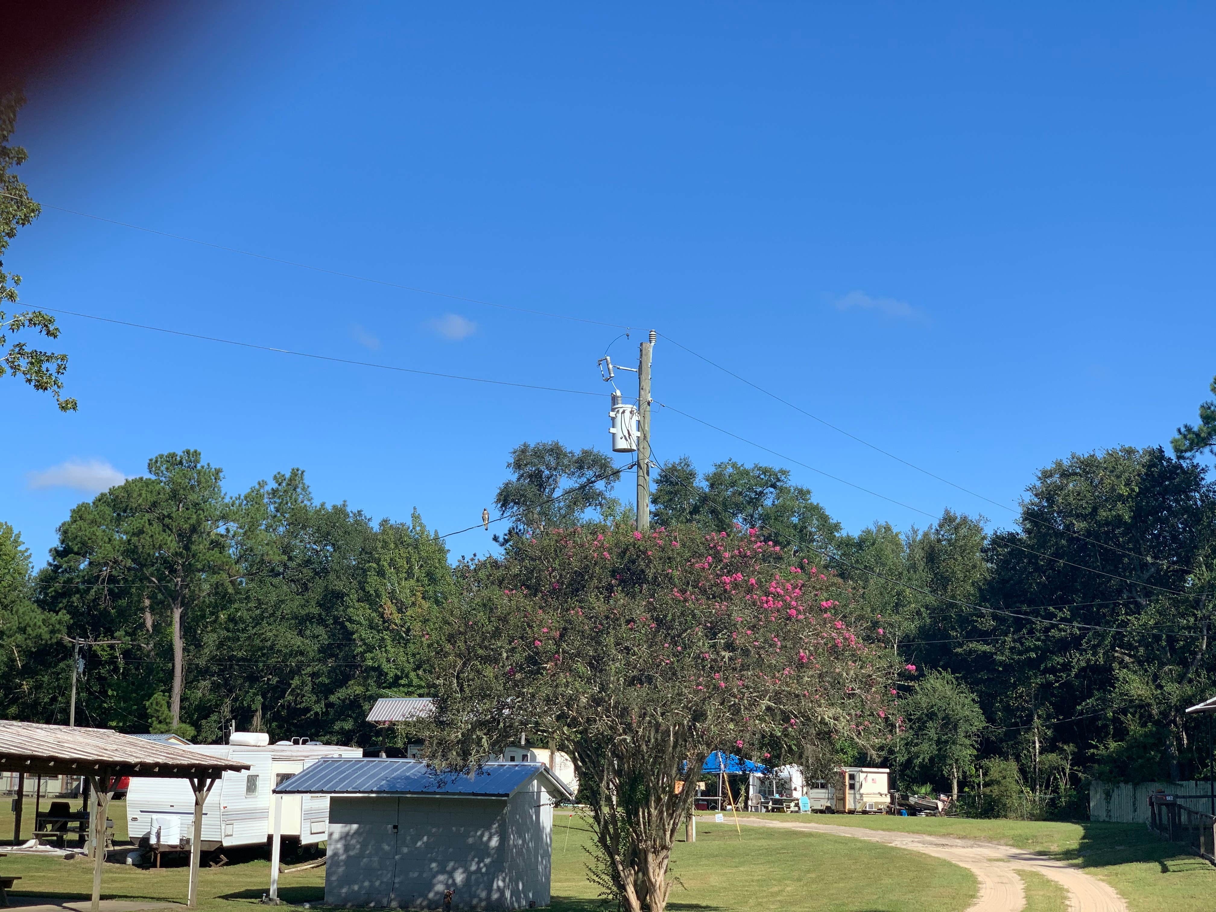 Ed and Bernices Fish Camp and RV Park The Dyrt