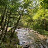 Review photo of Cades Cove Campground by Dan R., September 13, 2020