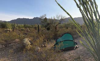 Pamela's photo at Gilbert Ray Campground near Oro Valley, AZ