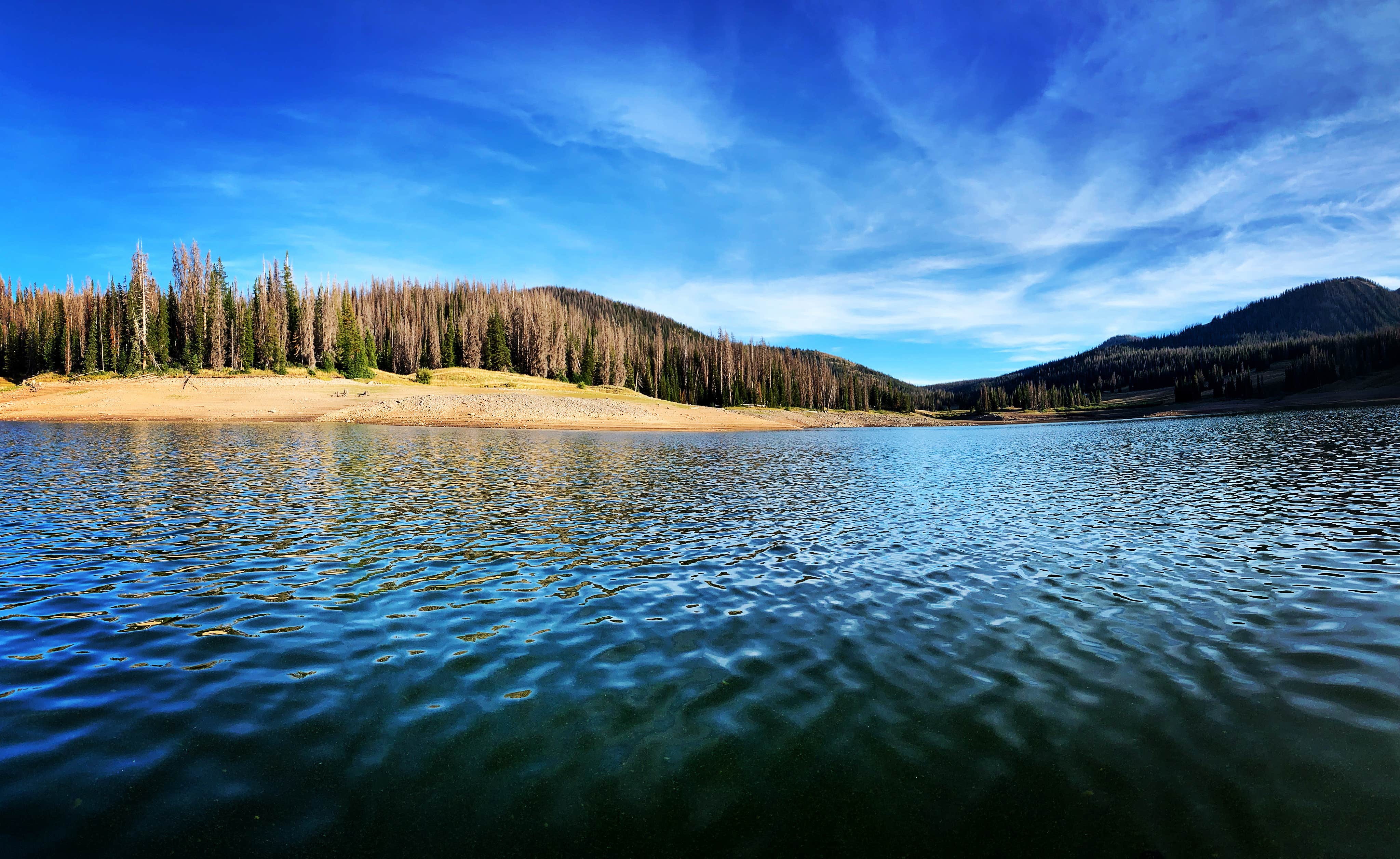 Camper submitted image from Whitney Reservoir - 3