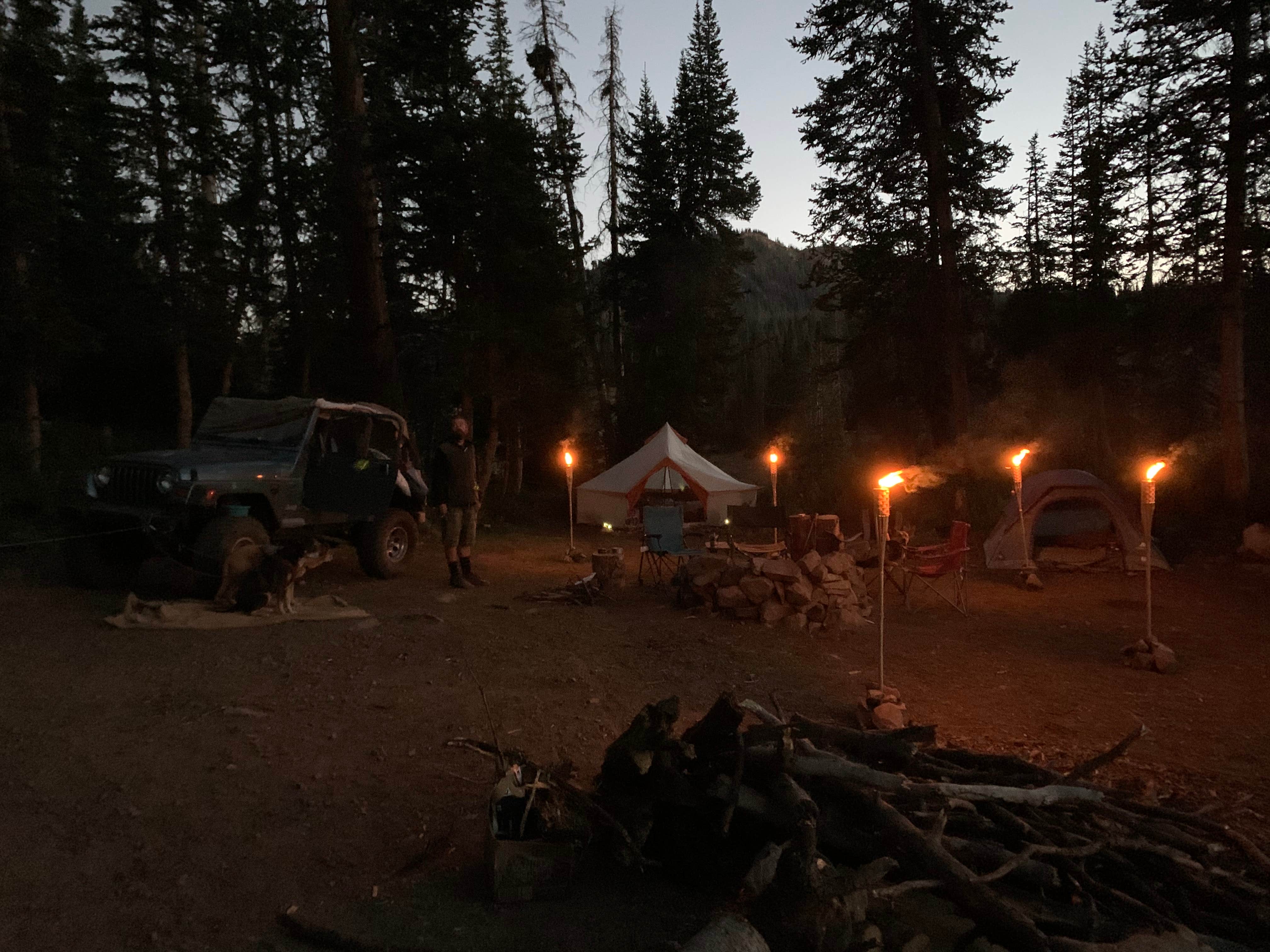 Camper submitted image from Whitney Reservoir - 1