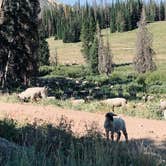 Review photo of Whitney Reservoir by Alyssa G., September 13, 2020