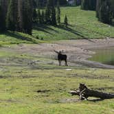 Review photo of Whitney Reservoir by Alyssa G., September 13, 2020