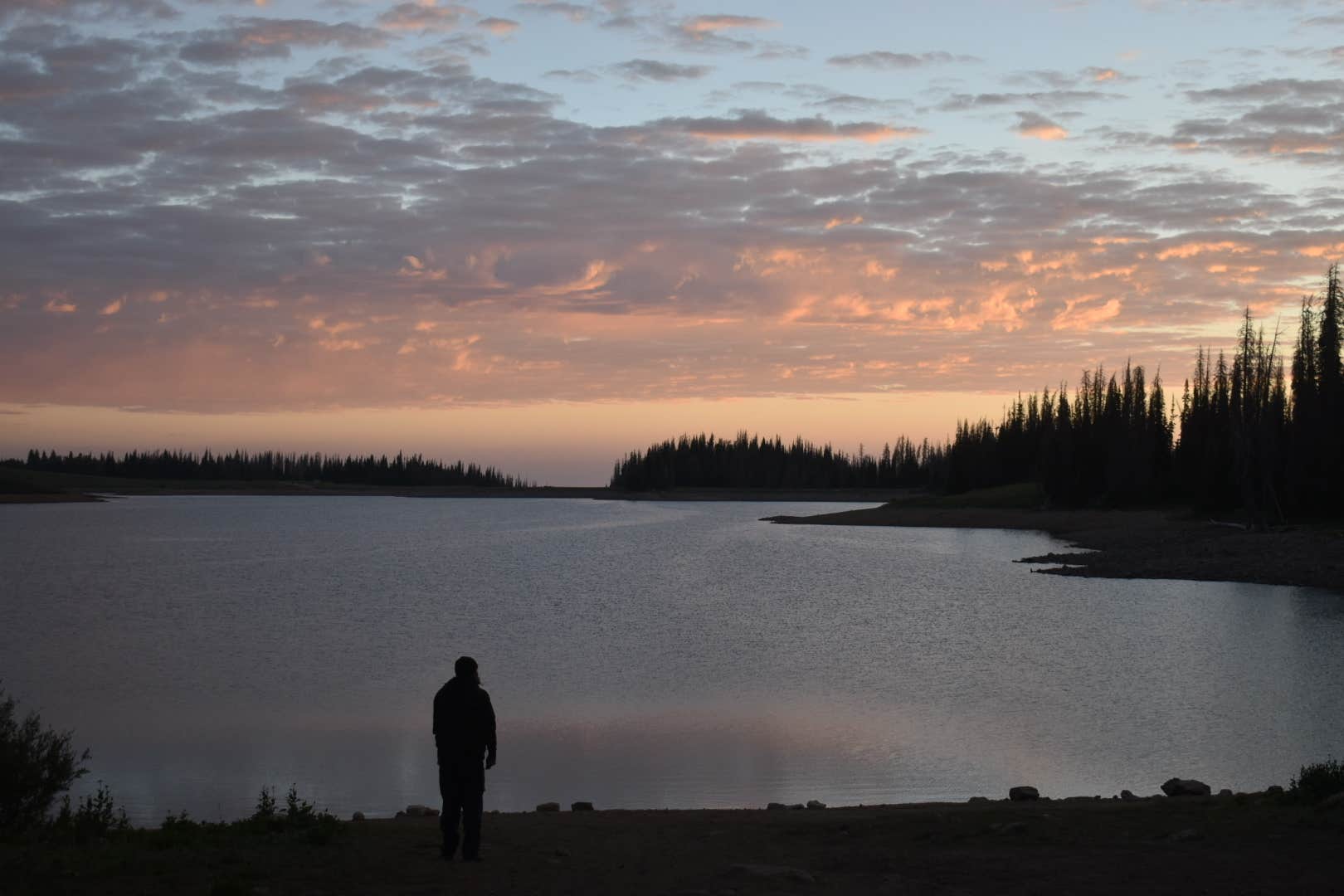 Whitney Reservoir The Dyrt