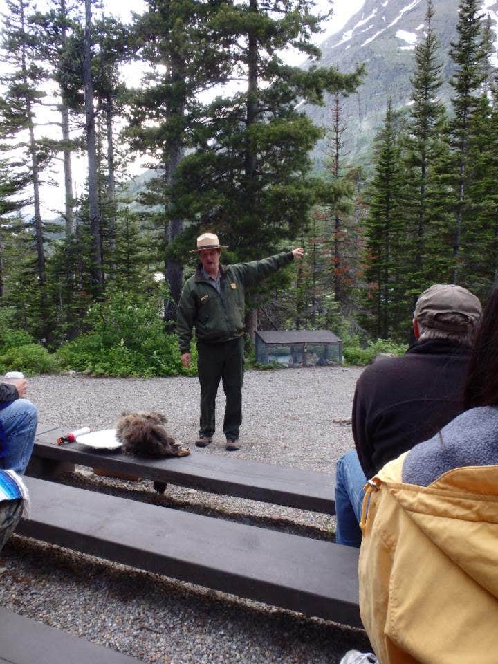 Camper submitted image from Two Medicine Campground — Glacier National Park - 4