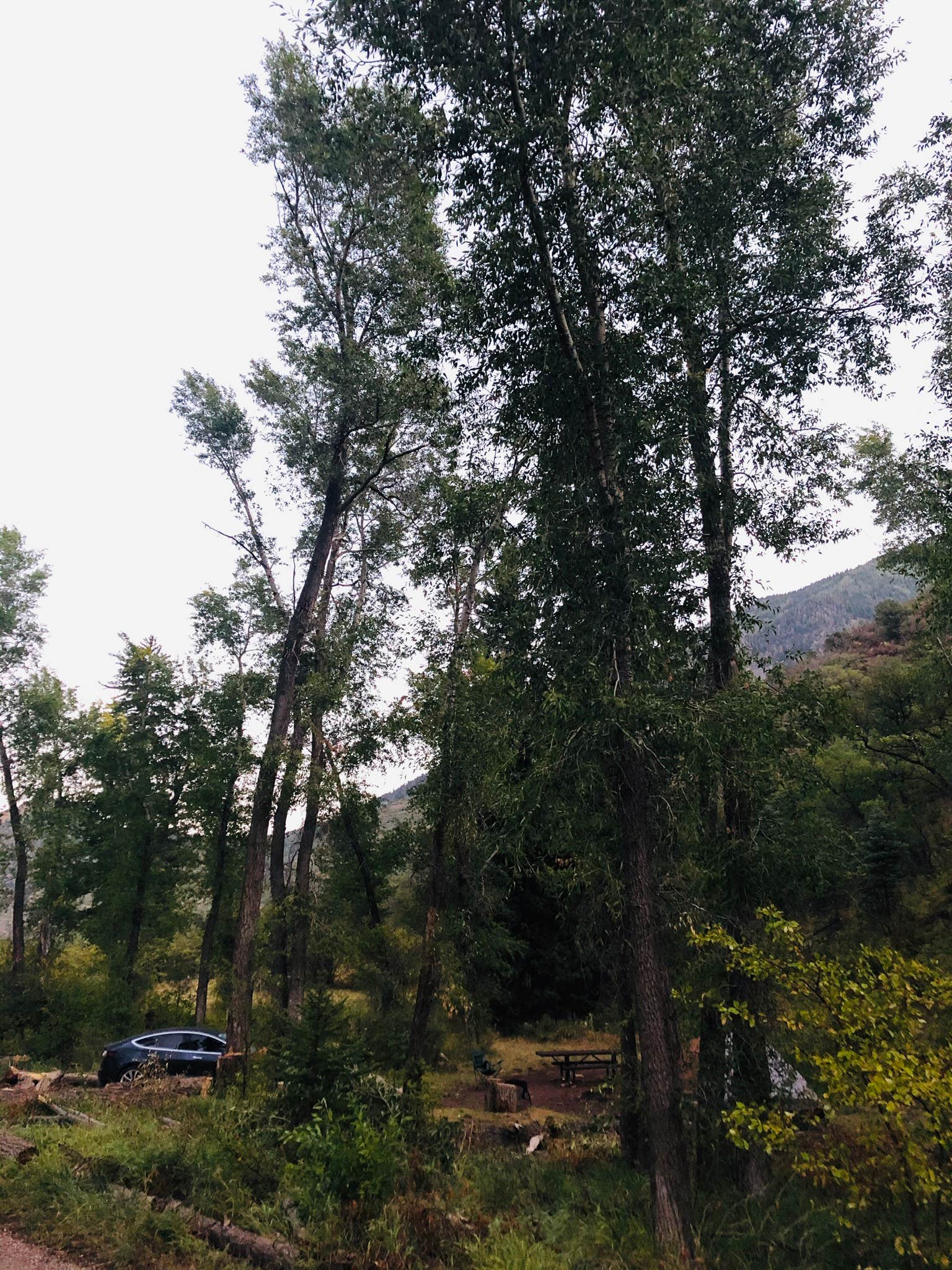 Camper-submitted photo at Avalanche Campground near Basalt, CO