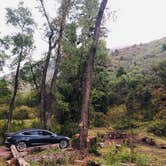 Review photo of Avalanche Campground by Erik S., September 13, 2020