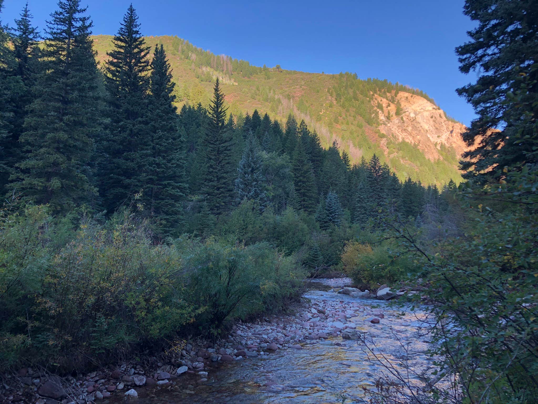 Camper-submitted photo at Avalanche Campground near Basalt, CO