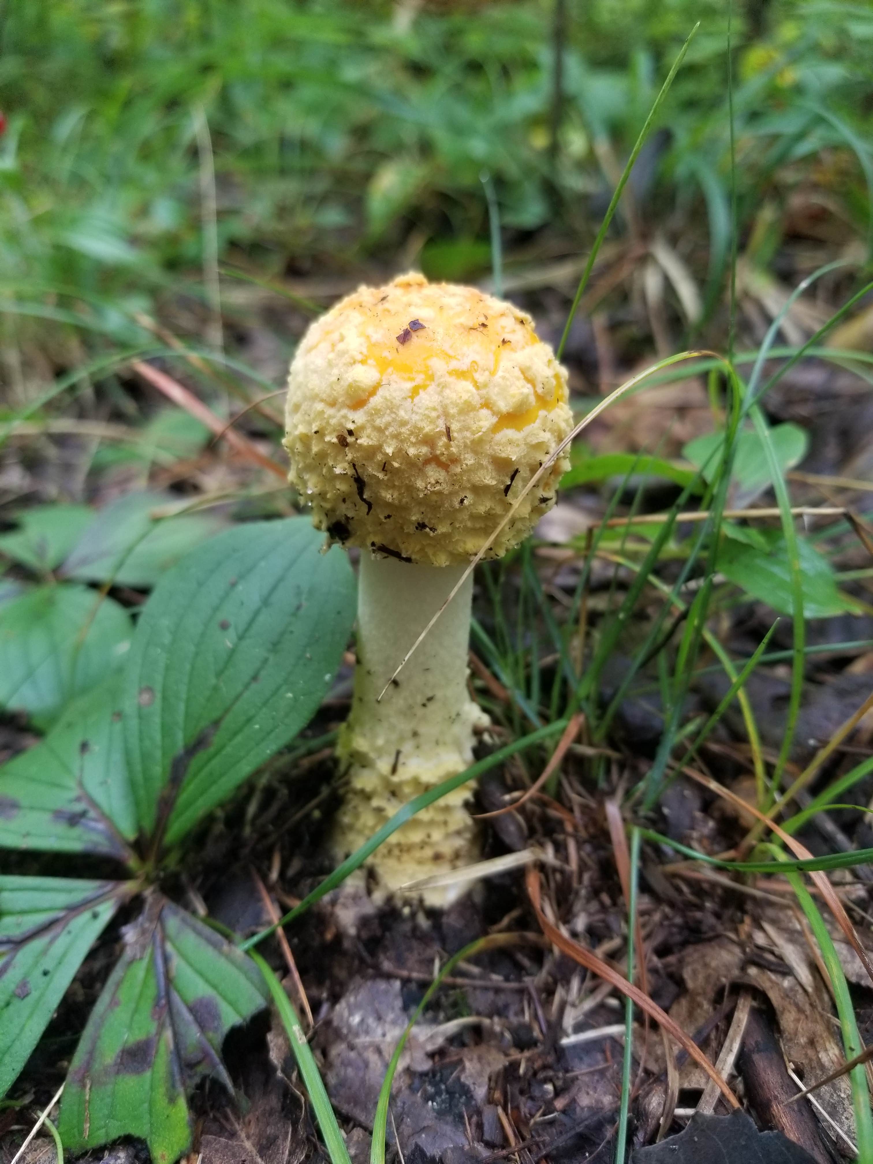 Camper-submitted photo at Crystal Creek Campground near Rhodes, MI