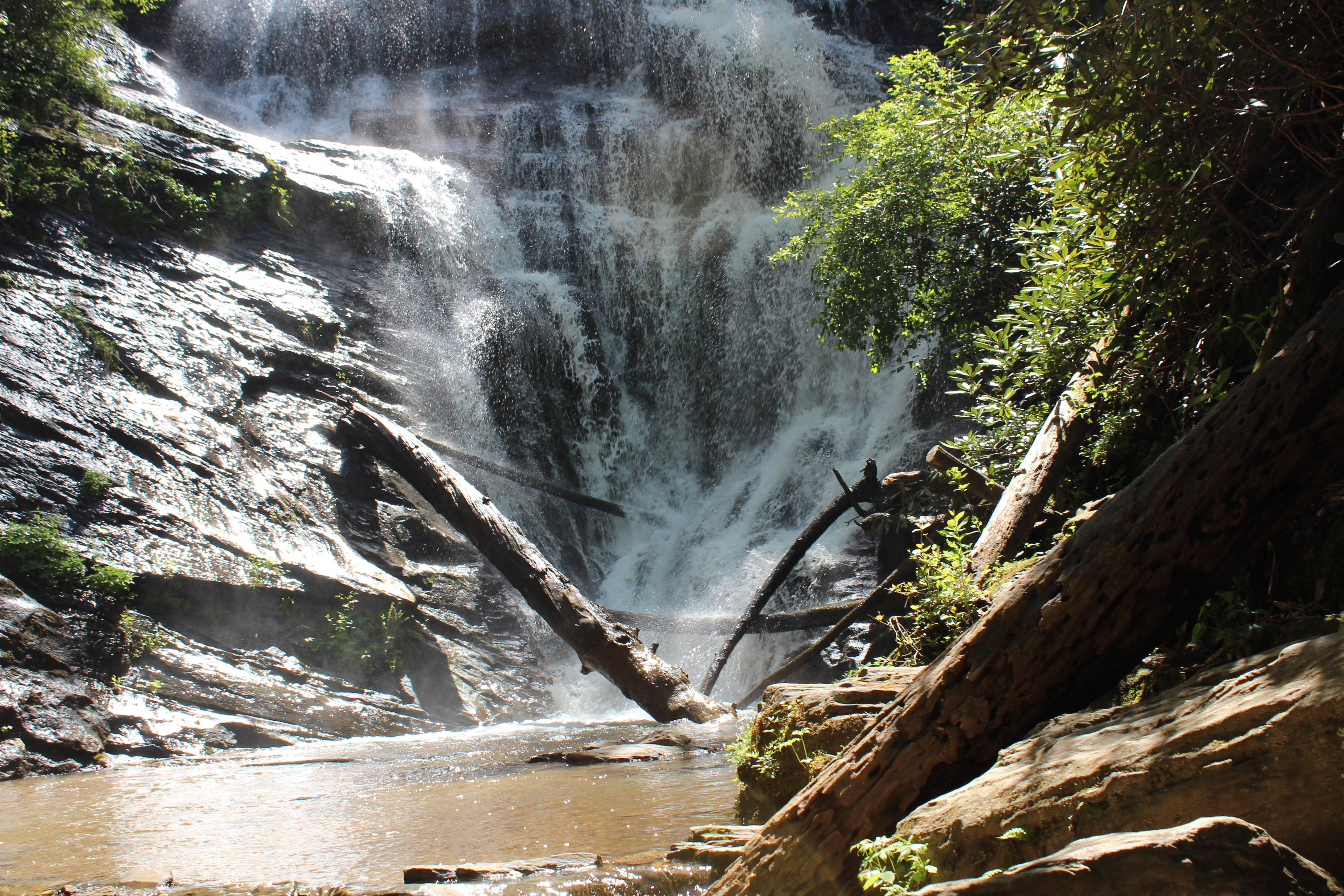 Camper submitted image from Oconee State Park Campground - 3