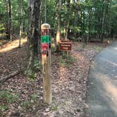 Review photo of Lake Anna State Park Campground by RL , September 13, 2020