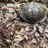 Review photo of Lake Anna State Park Campground by RL , September 13, 2020