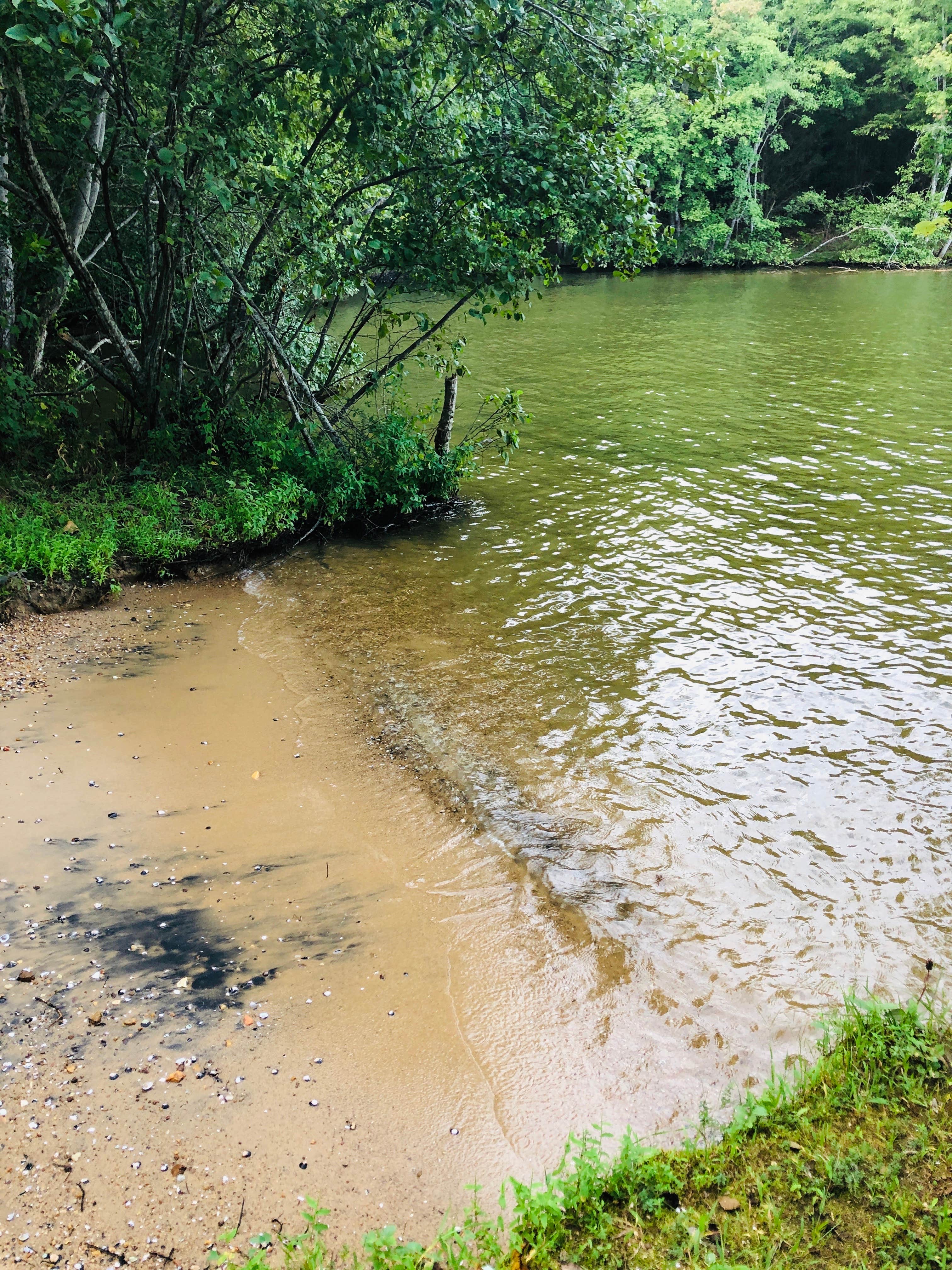 Camper-submitted photo at Lake Anna State Park Campground near Brooke, VA