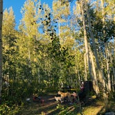 Review photo of Weller Campground by Erik S., September 13, 2020