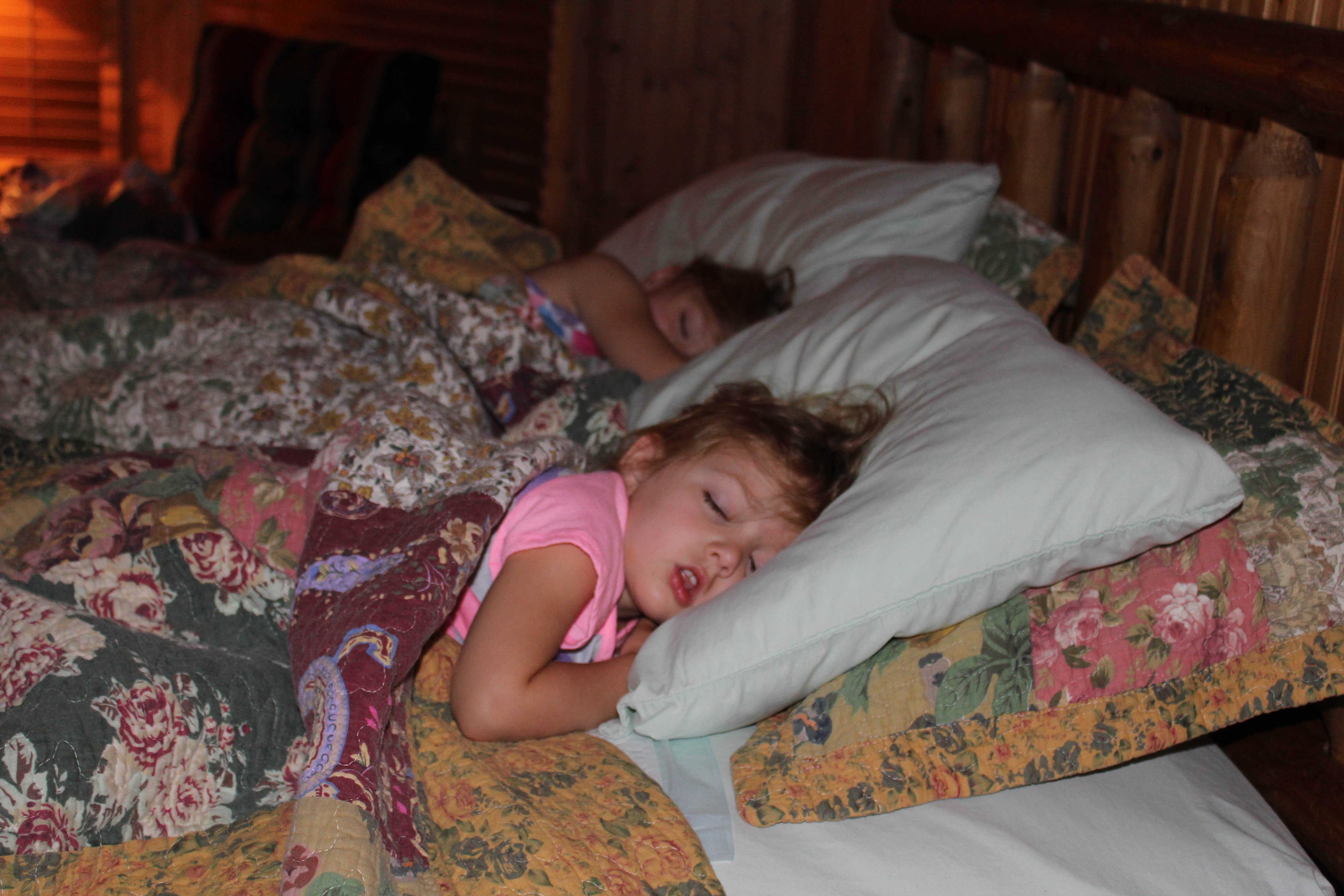kenneth M.'s photo of glamping accommodations at Oconee State Park Campground near Royston, GA