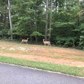 Review photo of Lake Anna State Park Campground by RL , September 13, 2020