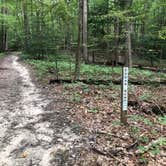 Review photo of Lake Anna State Park Campground by RL , September 13, 2020