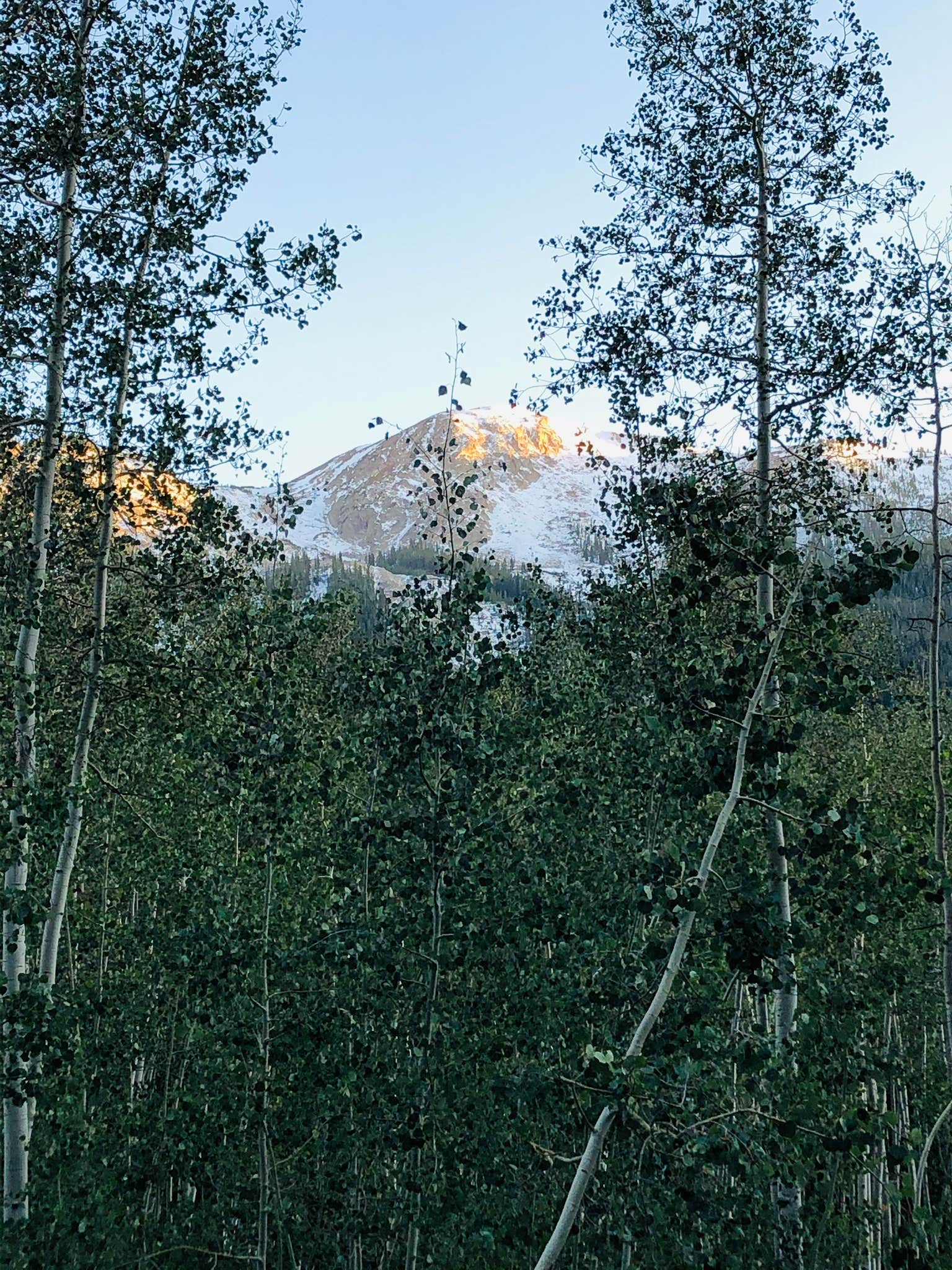 Camper-submitted photo at Weller Campground near Aspen, CO