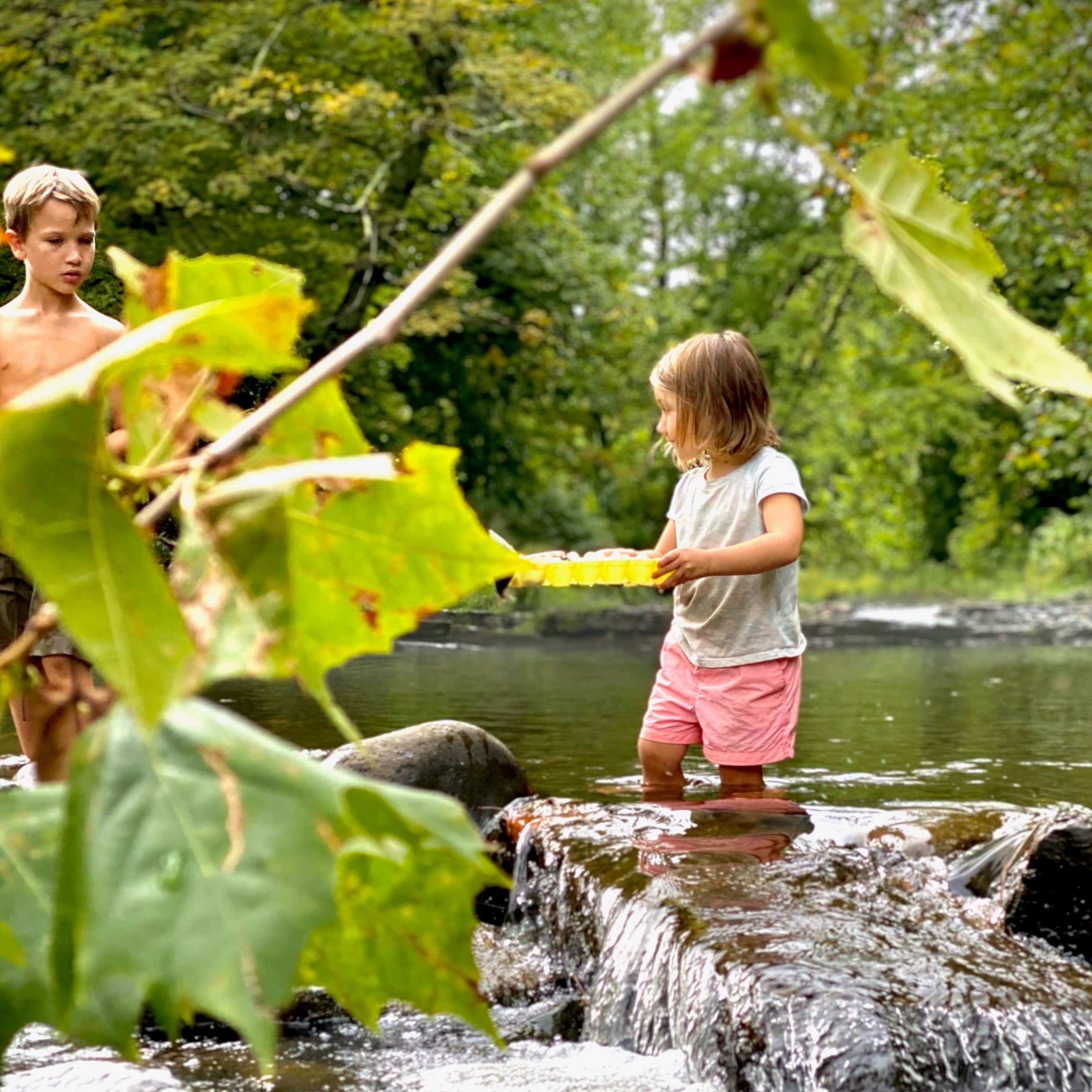 Thousand Trails Rondout Valley Camping The Dyrt