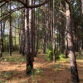 Review photo of Martin Creek Lake State Park Campground by Tony C., September 13, 2020