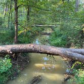 Review photo of Martin Creek Lake State Park Campground by Tony C., September 13, 2020