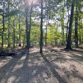 Review photo of Harrison Bay State Park Campground by Traci C., September 13, 2020