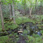 Review photo of Chequamegon National Forest Beaver Lake Campground by Kim , September 13, 2020