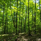 Review photo of Chequamegon National Forest Beaver Lake Campground by Kim , September 13, 2020