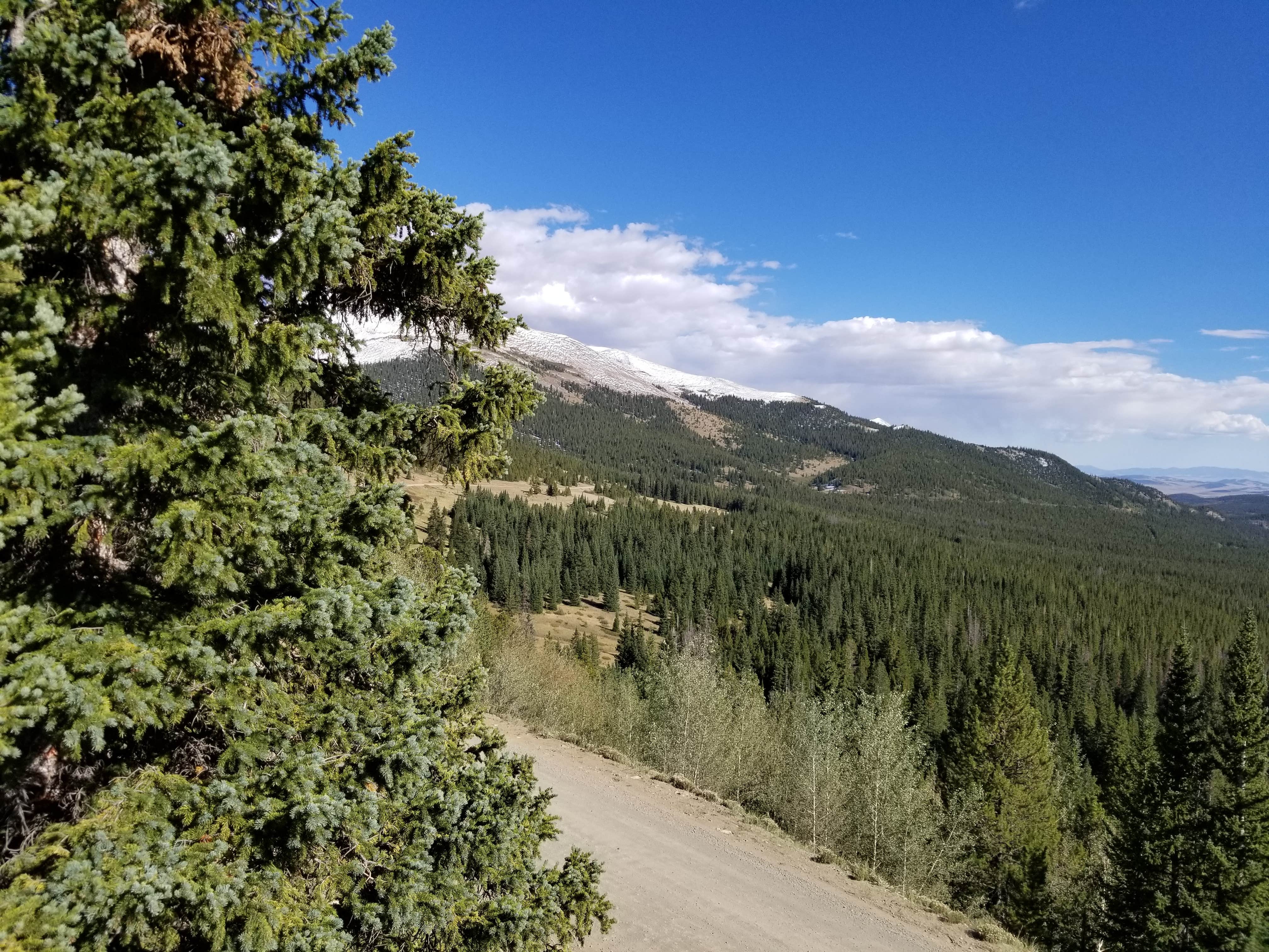 Camper submitted image from Boreas Pass Road Designated Dispersed Camping - 4