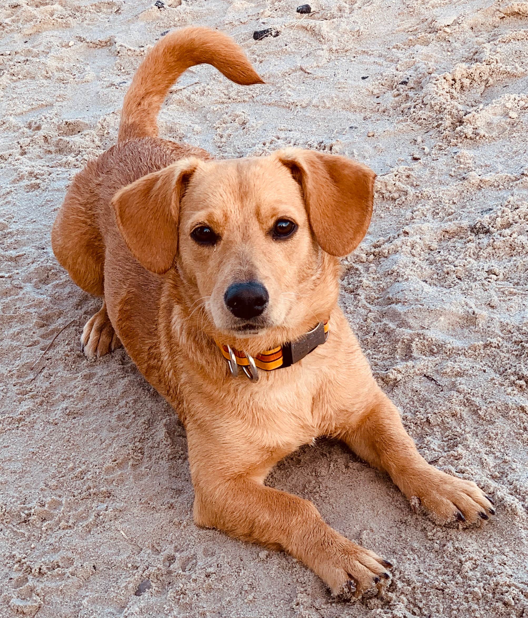 Camper-submitted photo at Sun Outdoors Ocean City near Millville, DE