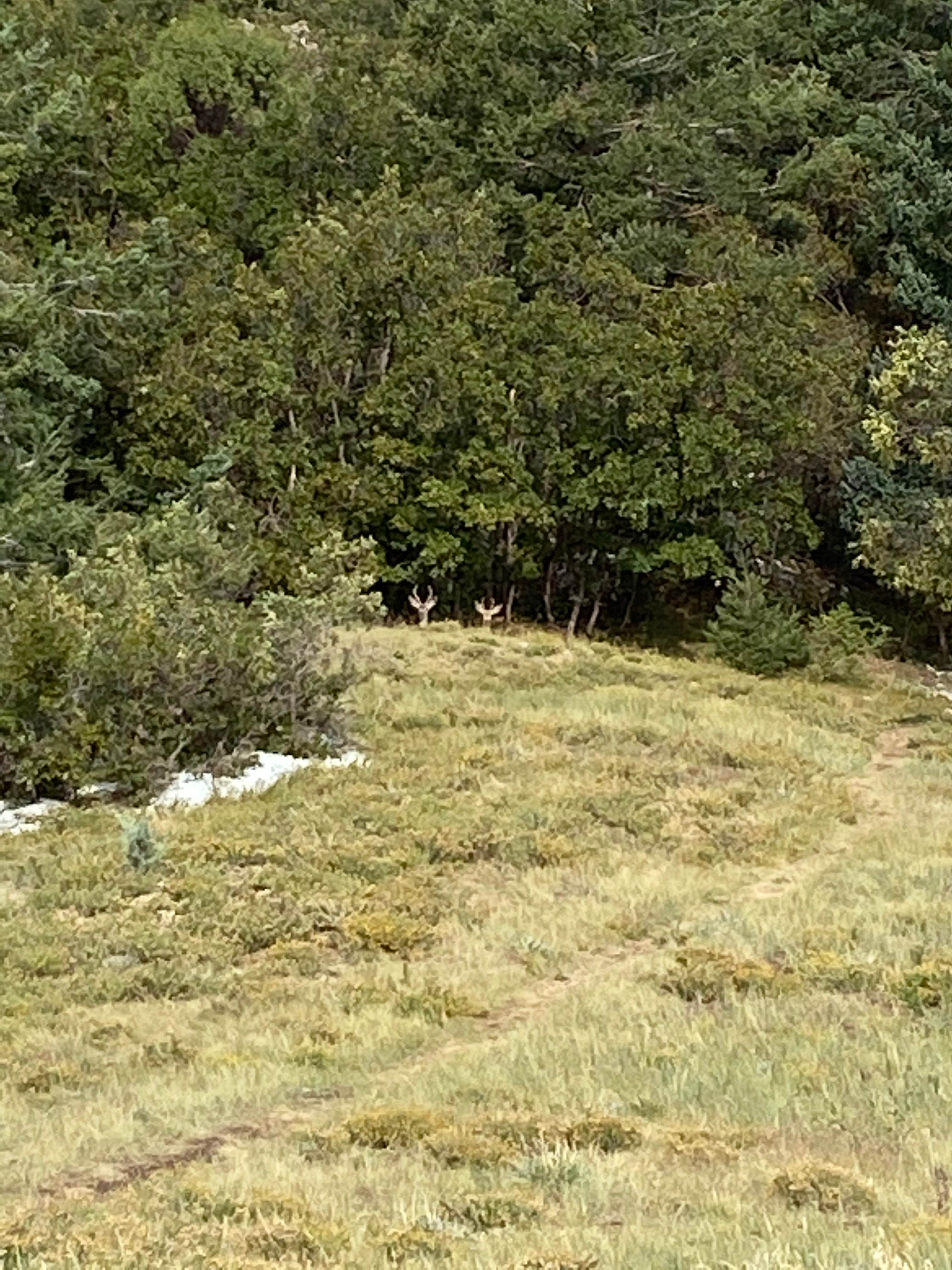 Camper-submitted photo at New Canyon Campground near San Acacia, NM